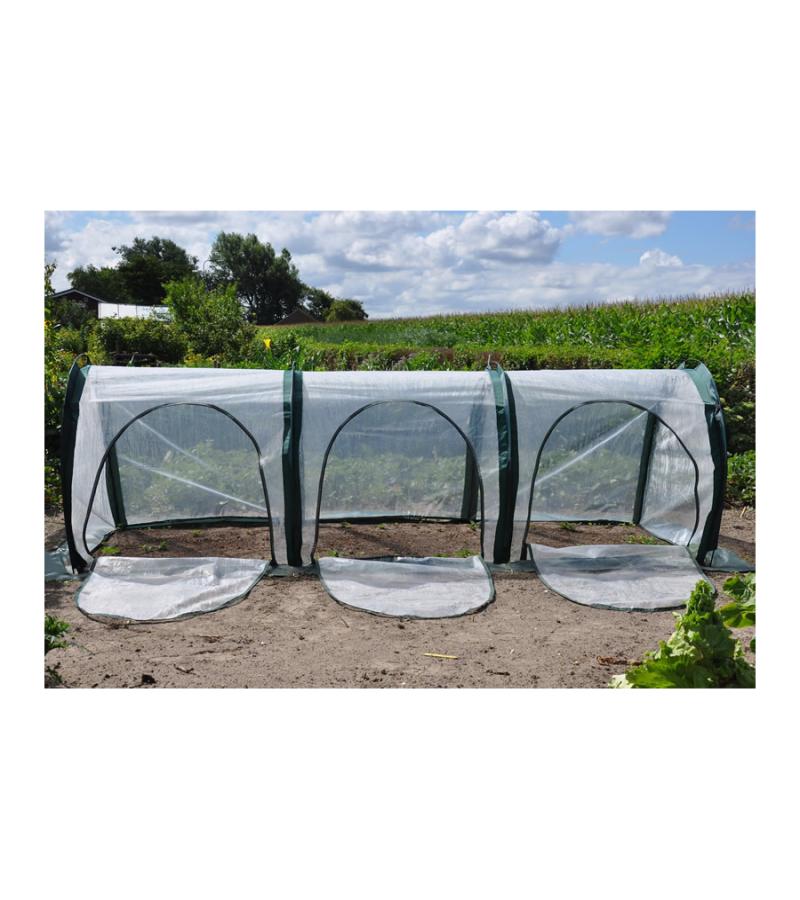 Sweet Rocket tunnelkas